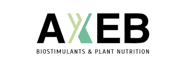 Logotipo de AXEB