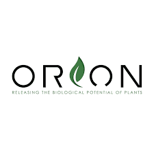 Orion logo