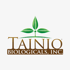 Logotipo de Tainio