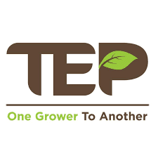 Logotipo de TEP