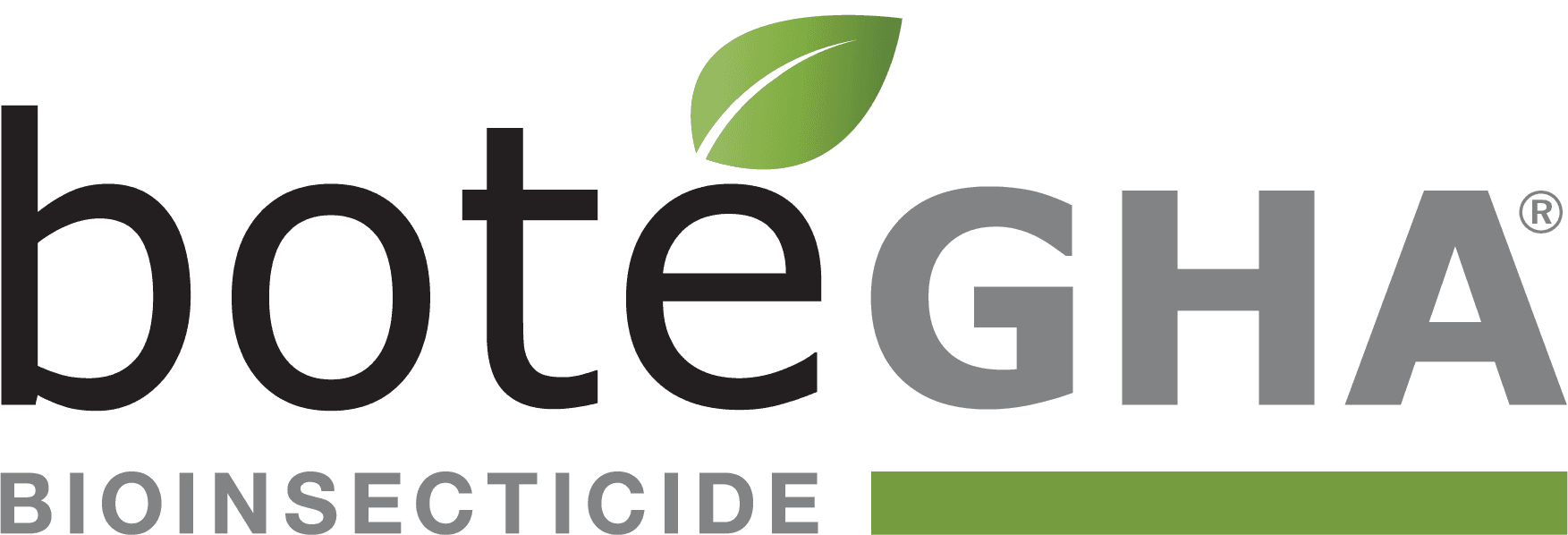 BoteGHA ES product image