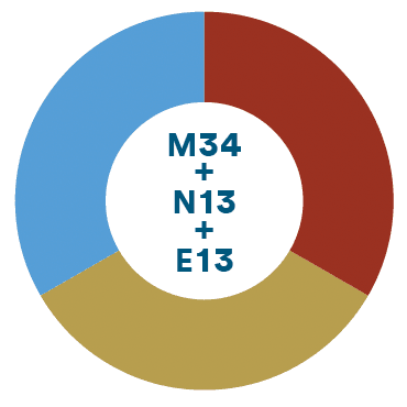 biotrinsic® M34 + N13 + E13 product image