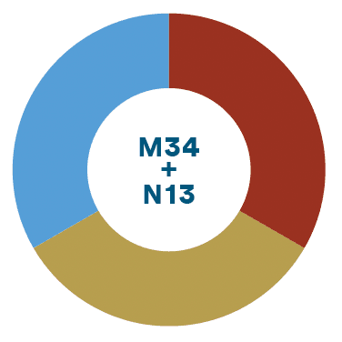 biotrinsic® M34 + N13 product image