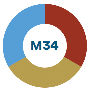 biotrinsic® M34 product image