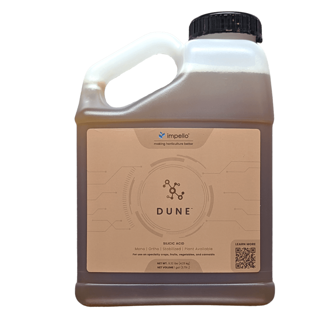 Imagen del producto «Dune»