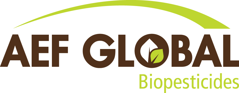 Logotipo de AEF Global