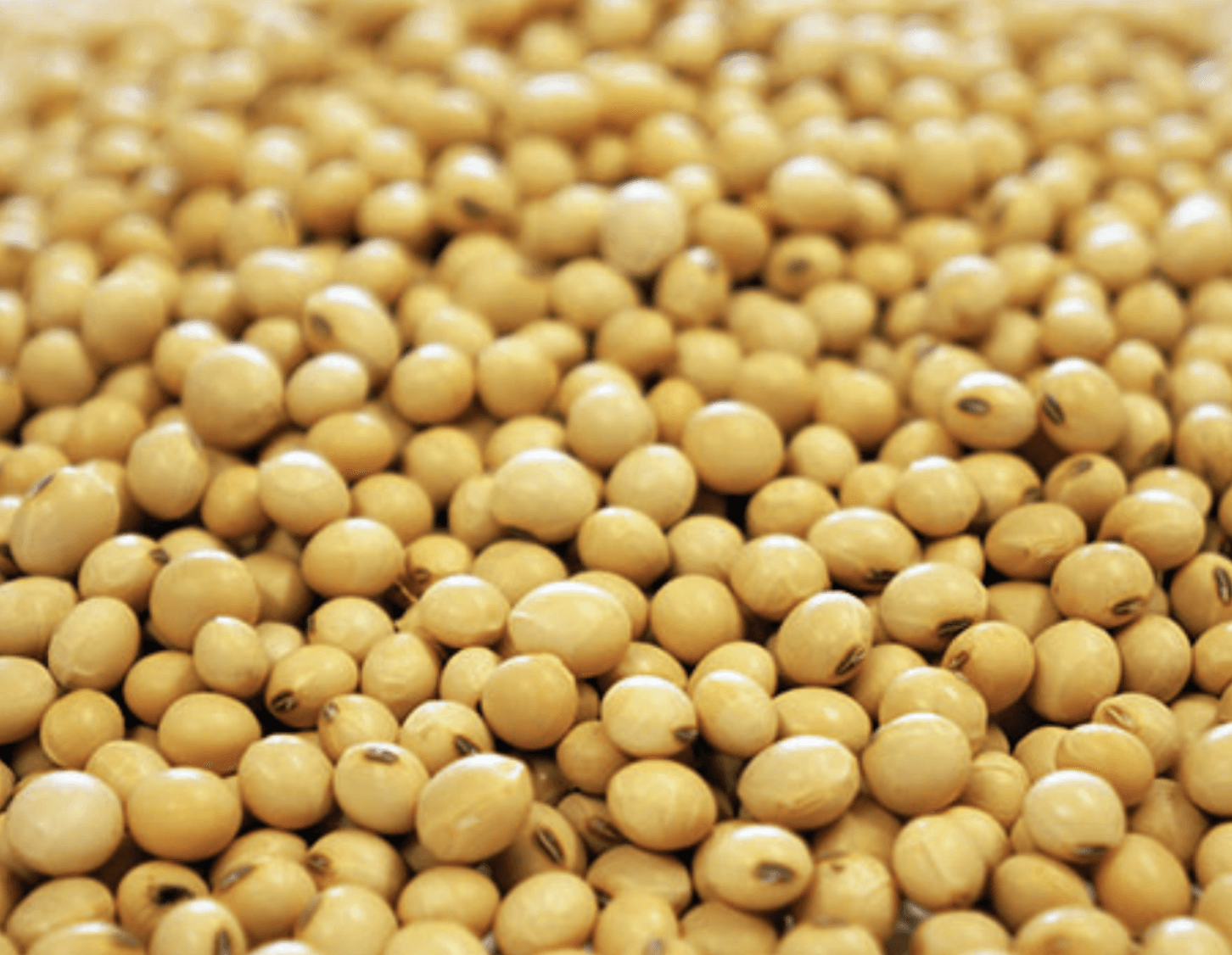 Seedworx™ BioSA product image