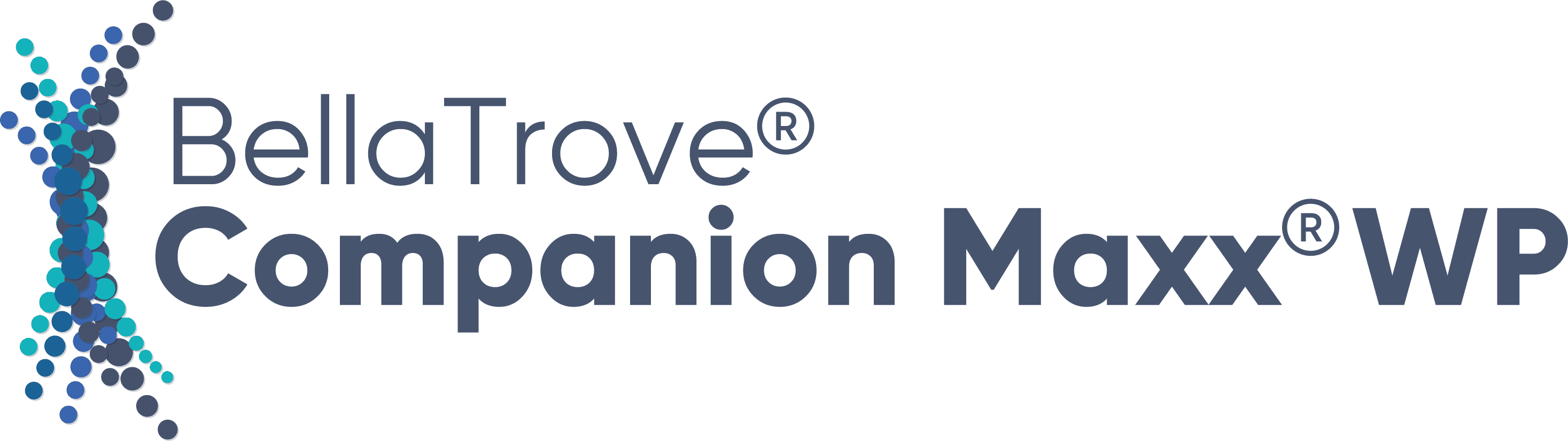 Bella Trove Companion Maxx product image