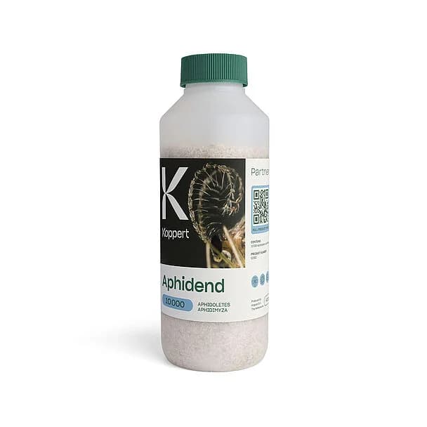 Aphidend product image