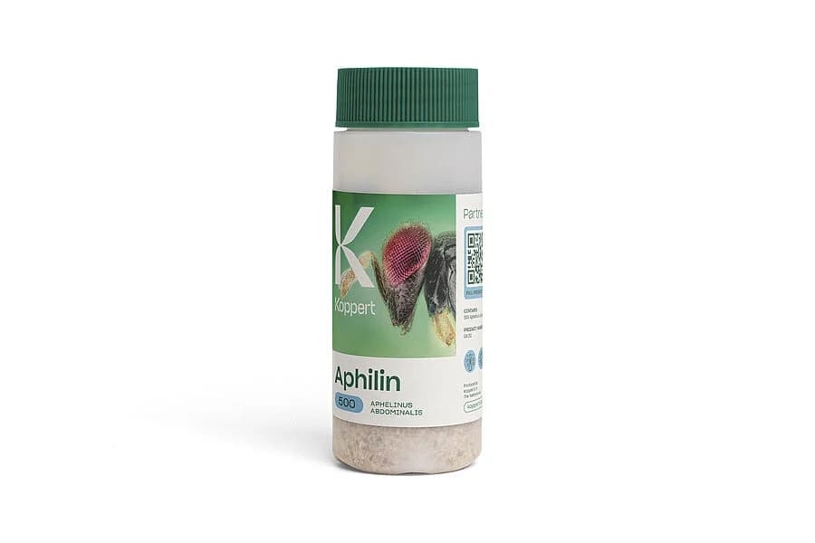 Aphilin product image