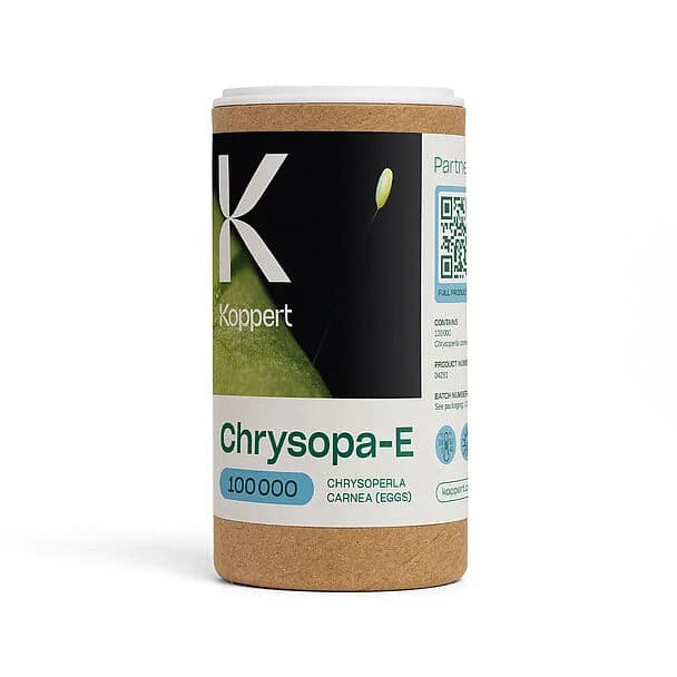 Chrysopa-E product image