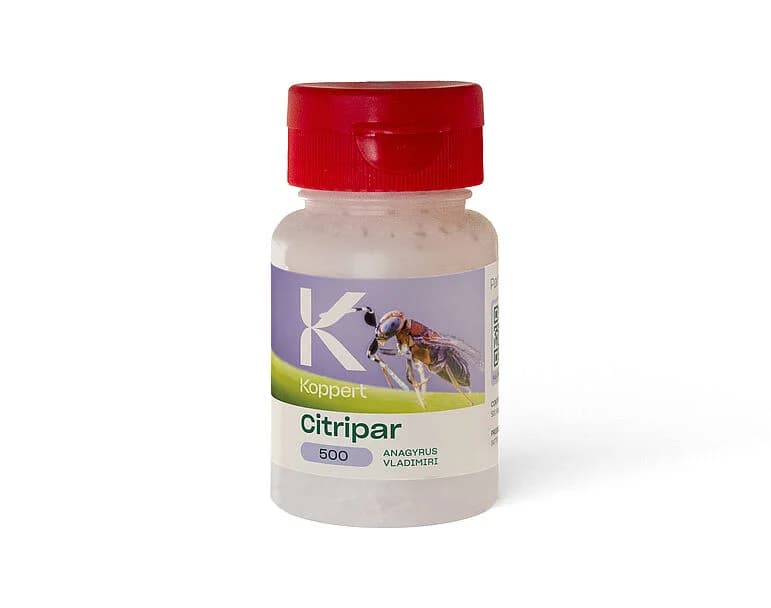 Citripar product image