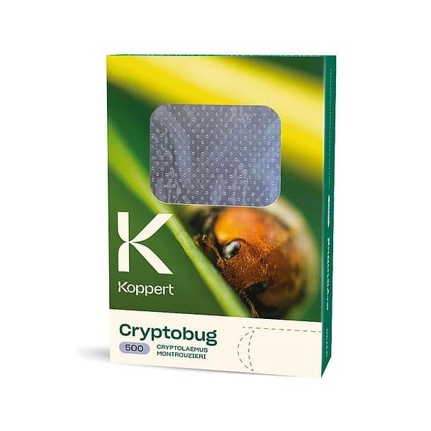 Cryptobug product image