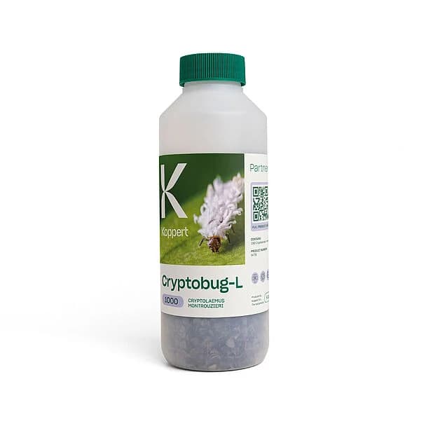 Cryptobug-L product image