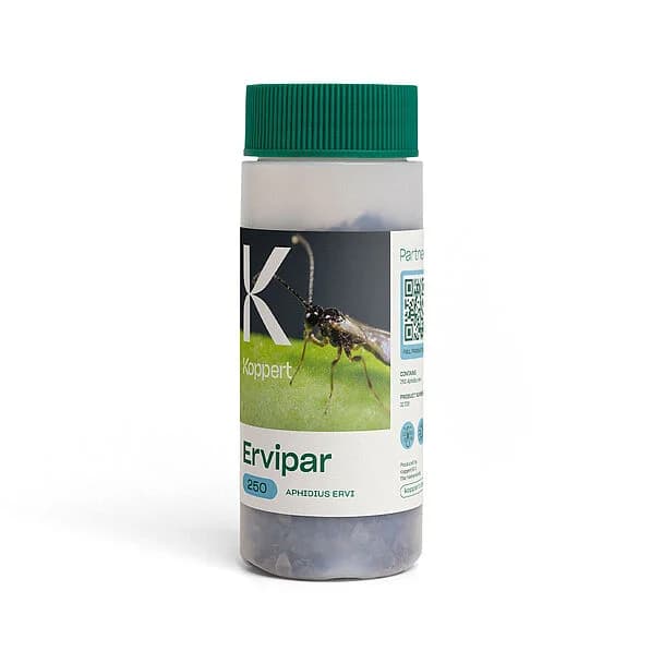 Ervipar product image