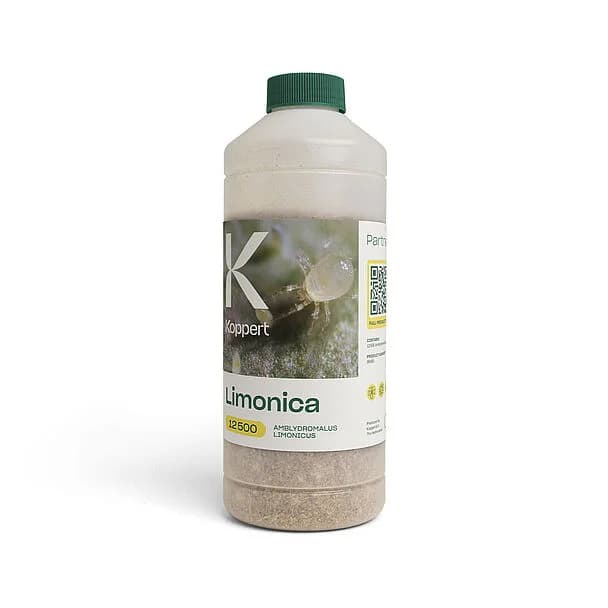 Limonica product image