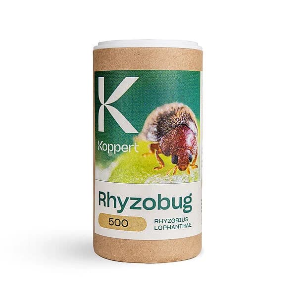 Rhyzobug product image
