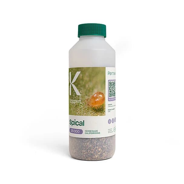 Spical product image