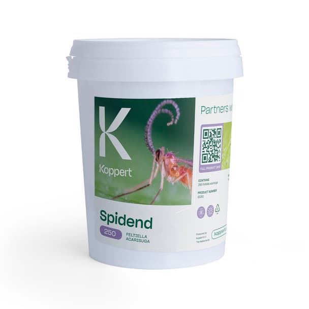 Spidend product image