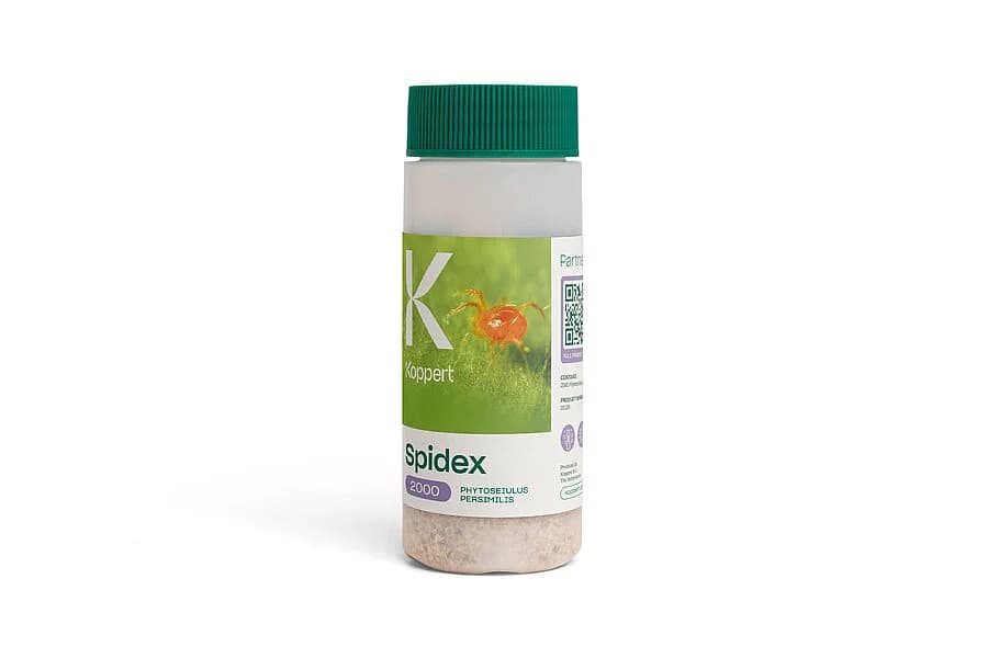Spidex product image