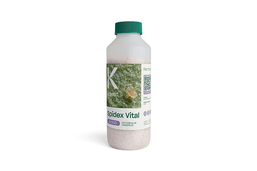Spidex Vital product image