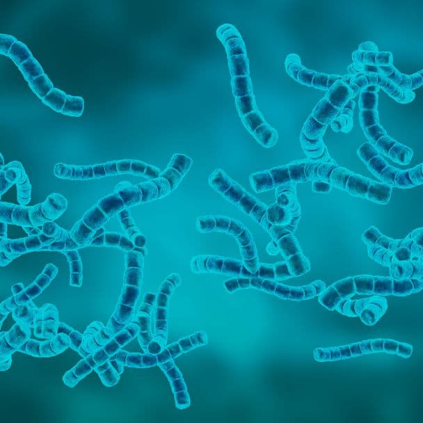Streptorid™ FP product image