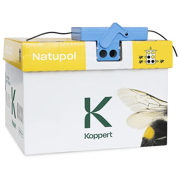 Wireless Beehome product image